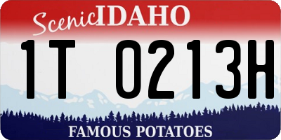 ID license plate 1T0213H