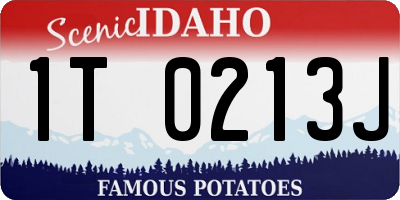 ID license plate 1T0213J