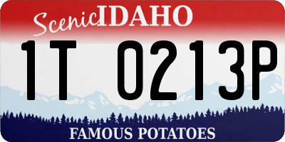 ID license plate 1T0213P