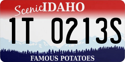 ID license plate 1T0213S