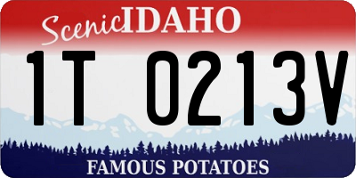 ID license plate 1T0213V