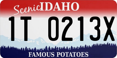 ID license plate 1T0213X