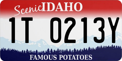 ID license plate 1T0213Y