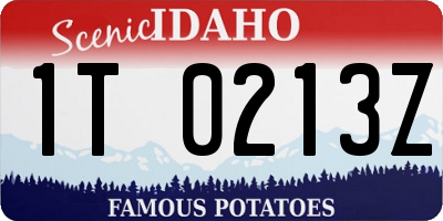 ID license plate 1T0213Z