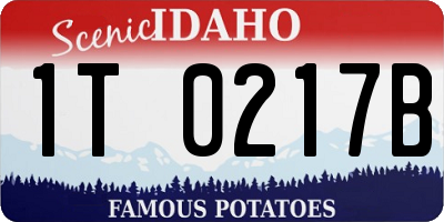 ID license plate 1T0217B