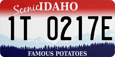 ID license plate 1T0217E