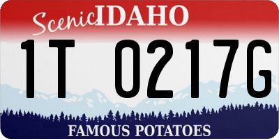 ID license plate 1T0217G
