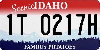 ID license plate 1T0217H