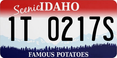 ID license plate 1T0217S