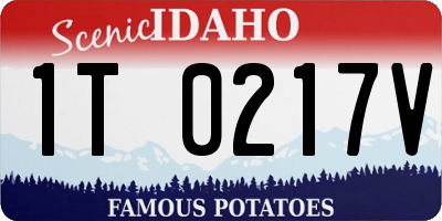 ID license plate 1T0217V
