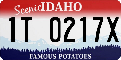ID license plate 1T0217X
