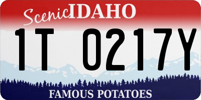 ID license plate 1T0217Y