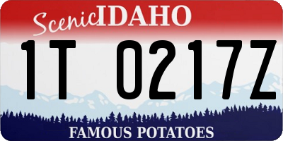 ID license plate 1T0217Z