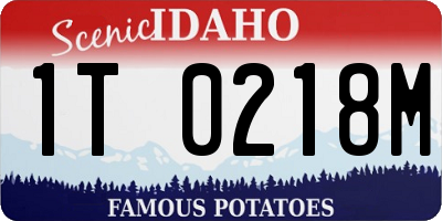 ID license plate 1T0218M