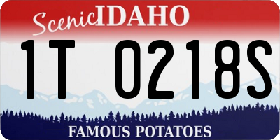 ID license plate 1T0218S