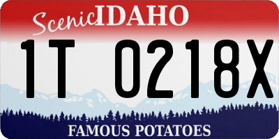 ID license plate 1T0218X