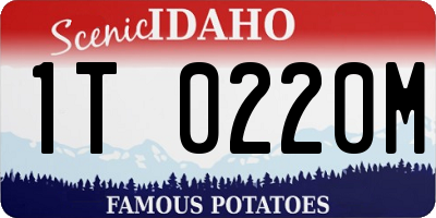 ID license plate 1T0220M