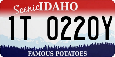 ID license plate 1T0220Y