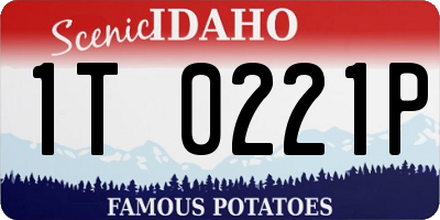 ID license plate 1T0221P