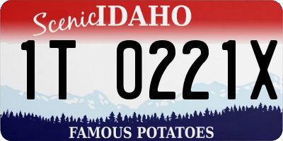 ID license plate 1T0221X