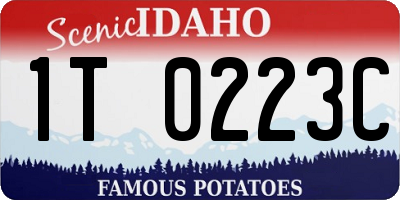 ID license plate 1T0223C