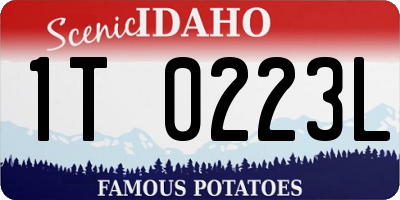ID license plate 1T0223L