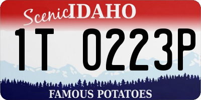 ID license plate 1T0223P