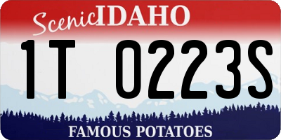 ID license plate 1T0223S