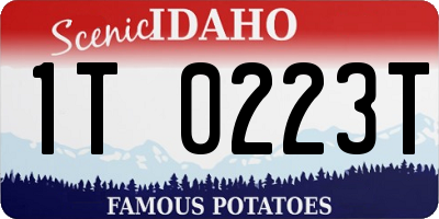 ID license plate 1T0223T