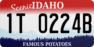 ID license plate 1T0224B