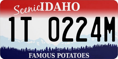ID license plate 1T0224M