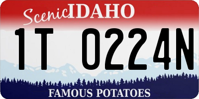 ID license plate 1T0224N