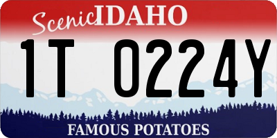 ID license plate 1T0224Y