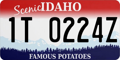 ID license plate 1T0224Z