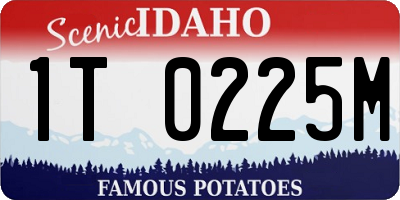 ID license plate 1T0225M