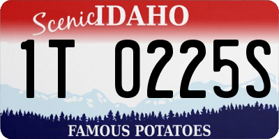 ID license plate 1T0225S