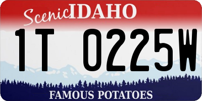 ID license plate 1T0225W