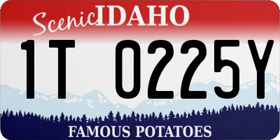 ID license plate 1T0225Y
