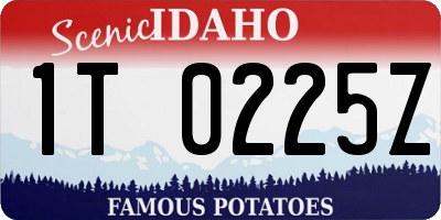ID license plate 1T0225Z