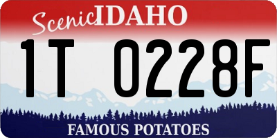 ID license plate 1T0228F