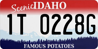 ID license plate 1T0228G