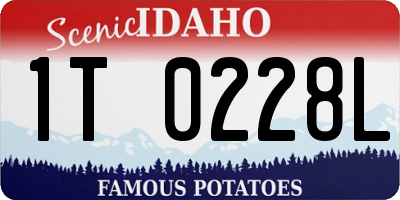 ID license plate 1T0228L