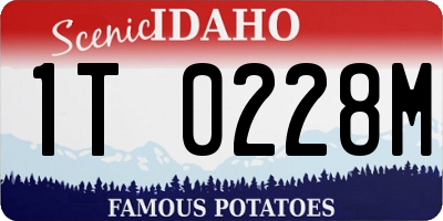 ID license plate 1T0228M