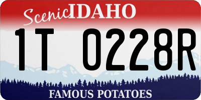 ID license plate 1T0228R