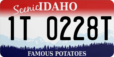 ID license plate 1T0228T