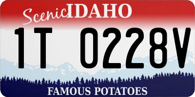 ID license plate 1T0228V