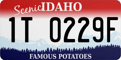 ID license plate 1T0229F