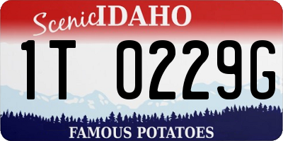 ID license plate 1T0229G