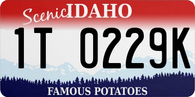 ID license plate 1T0229K
