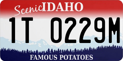 ID license plate 1T0229M